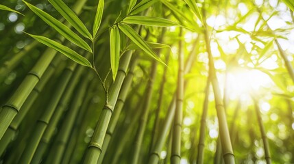 Fototapeta premium Sustainable bamboo profit towers rising from esg-certified soil lush forest environment gigapixel detail