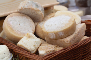 Craft cheese for sale at a farmer's market
