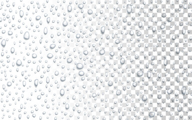 Vector Water drops on glass. Rain drops on transparent background