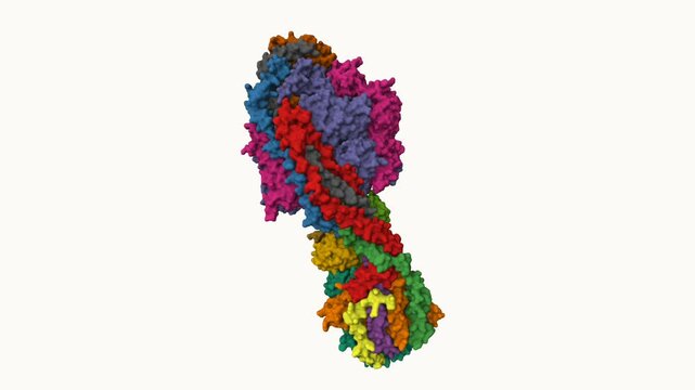 ATP Synthase Molecular Machine &ndash; Rotating 3D Structure Animation