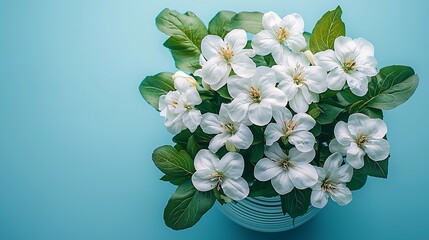 Fototapeta premium Spring bouquet of white flowers