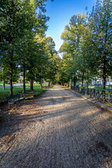 Fototapeta premium Early morning in Torino