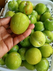 A Black Southern farmer holding a glossy green country plum in front of a white harvest basket filled with freshly picked plums from a rural Alabama farm

