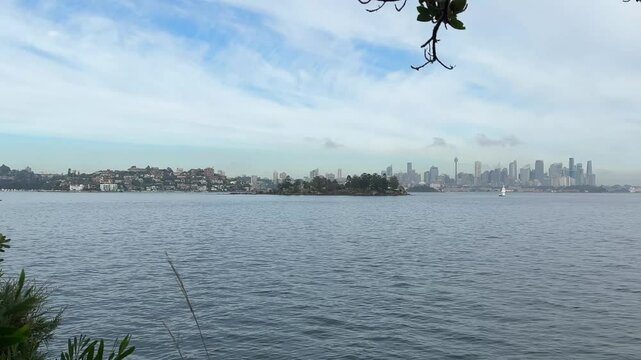 lake and trees in sydney 