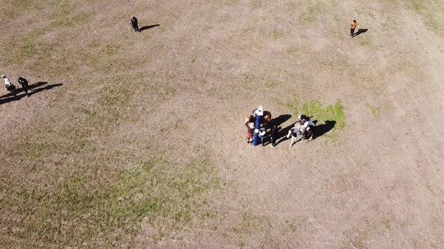 Gaucho taming a wild colt at a traditional Argentine gaucho festival
