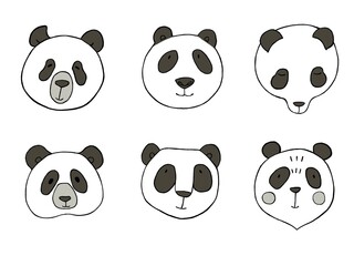 Fototapeta premium Panda face, six characters, black and white sketch.