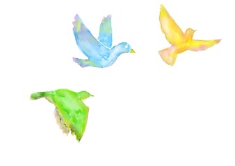 空飛ぶ水彩の鳥たち