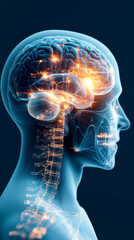 An artistic representation of a human head showcasing an illuminated brain connected to the spine, symbolizing thought and neural activity.