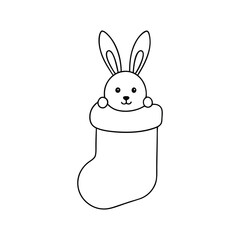 rabbit with carrot coloring book 