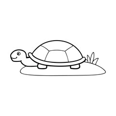 turtle coloring book 