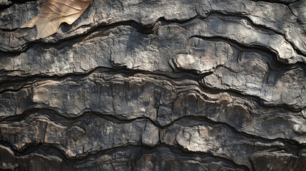 tree bark texture