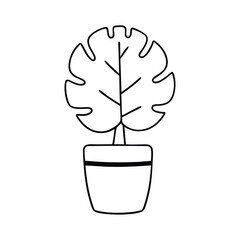 vector illustration of a tree coloring book