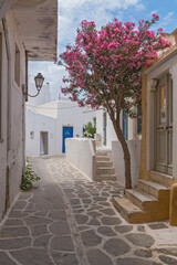 Naklejka premium Gasse in der Altstadt von Parikia, Paros