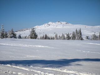 Fototapeta premium Panorama of Vitosha Mountain, Bulgaria