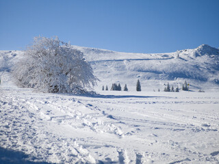 Panorama of Vitosha Mountain, Bulgaria
