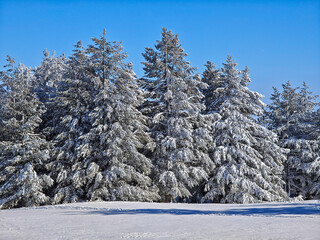Panorama of Vitosha Mountain, Bulgaria