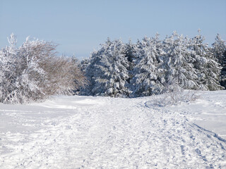 Panorama of Vitosha Mountain, Bulgaria