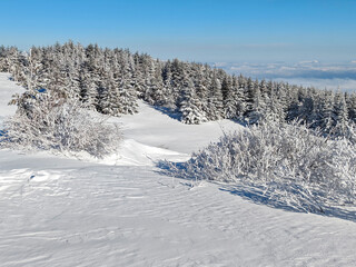Obraz premium Panorama of Vitosha Mountain, Bulgaria
