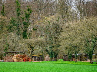 Brennholzlager auf einer Wiese im Frühjahr © focus finder