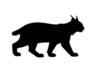 Canadian lynx silhouette vector flat illustration design.