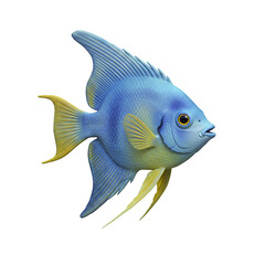 Stunning Blue Angelfish: A Vibrant 3D Render of a Tropical Fish