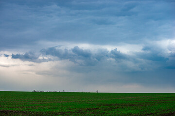 Landscape photography in the rainstorm , beautiful clouds in the sky , big and stormy clouds , forest and field , powerlines on the field,landscape photo