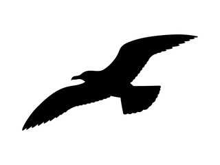 Flying gull silhouette vector flat illustration design.