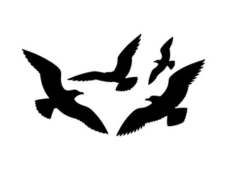 Flying gulls silhouette vector flat illustration design.
