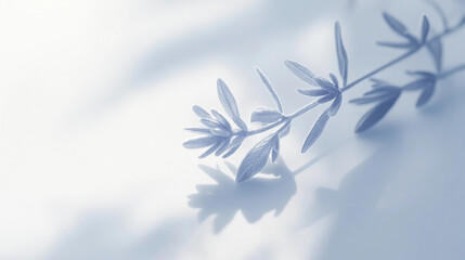 A leafy plant with a blue hue