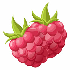 plump raspberries with soft  textured surface