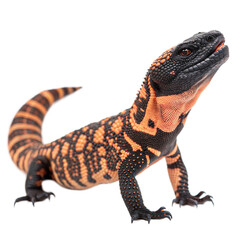 Gila Monster AI Generated Image