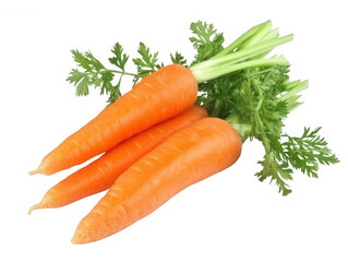Vibrant Orange Carrot with Green Tops Transparent Background