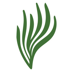 vector illustration of a green leaf seaweed
