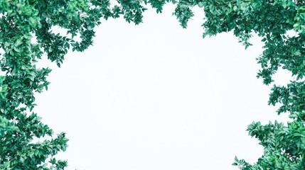 Obraz premium Lush green leaves frame, nature background, perfect for design