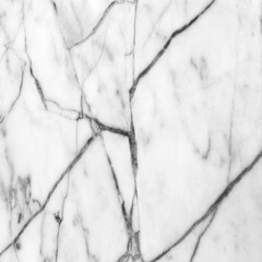 white marble texture background (High resolution).