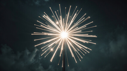 fireworks in the night sky