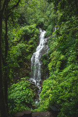Wonderfull waterfall in Monteverde Costa Rica