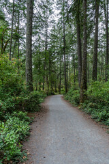 hiking trail in idyllic forest looking at mountain in summer at Thetis Lake Regional Park British Columbia Canada