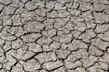 Close-up of dry cracked mud soil during a drought
