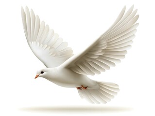 Obraz premium White Dove in Flight, Studio Shot