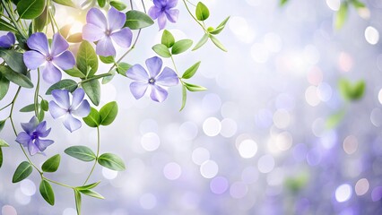 Soft Periwinkle Vines with Bokeh Effect on White Background - Feminine Flat Lay Design Elements, Nature Inspired, Copy Space, Low-Angle Perspective, Floral Aesthetic