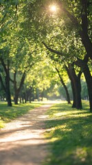 Naklejka premium Serene sunlit trail meandering through a vibrant green canopy of trees