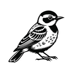 vector illustration of a bird