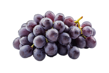 A close up shot of a bunch of ripe dark grapes with water droplets on a black background view