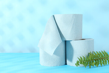 Light blue toilet paper rolls and fern branch on color background