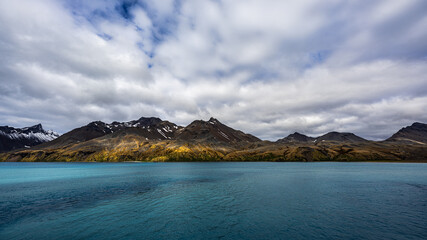 Photography of landscapes of Fortuna Bay, South Georgia