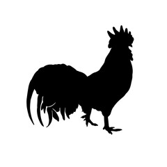 Chicken Silhouette Illustration for Farming, Agriculture, and Poultry Design