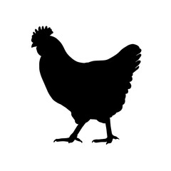 Chicken Silhouette Illustration for Farming, Agriculture, and Poultry Design