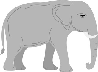 Elephant Animal