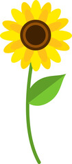 Sunflower Potted Plant